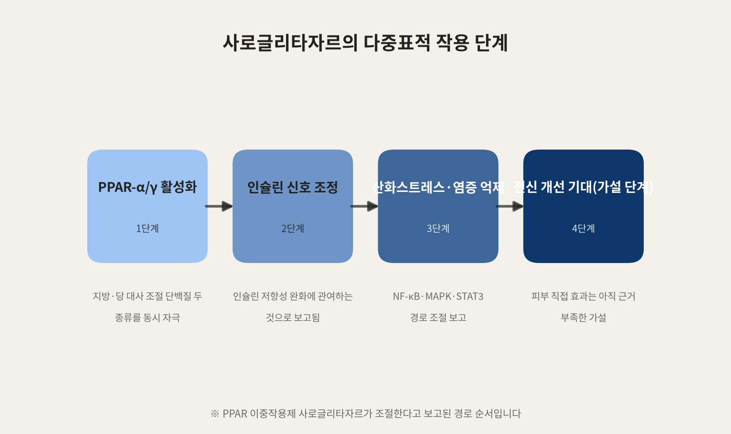 사로글리타자르의 다중표적 작용 단계