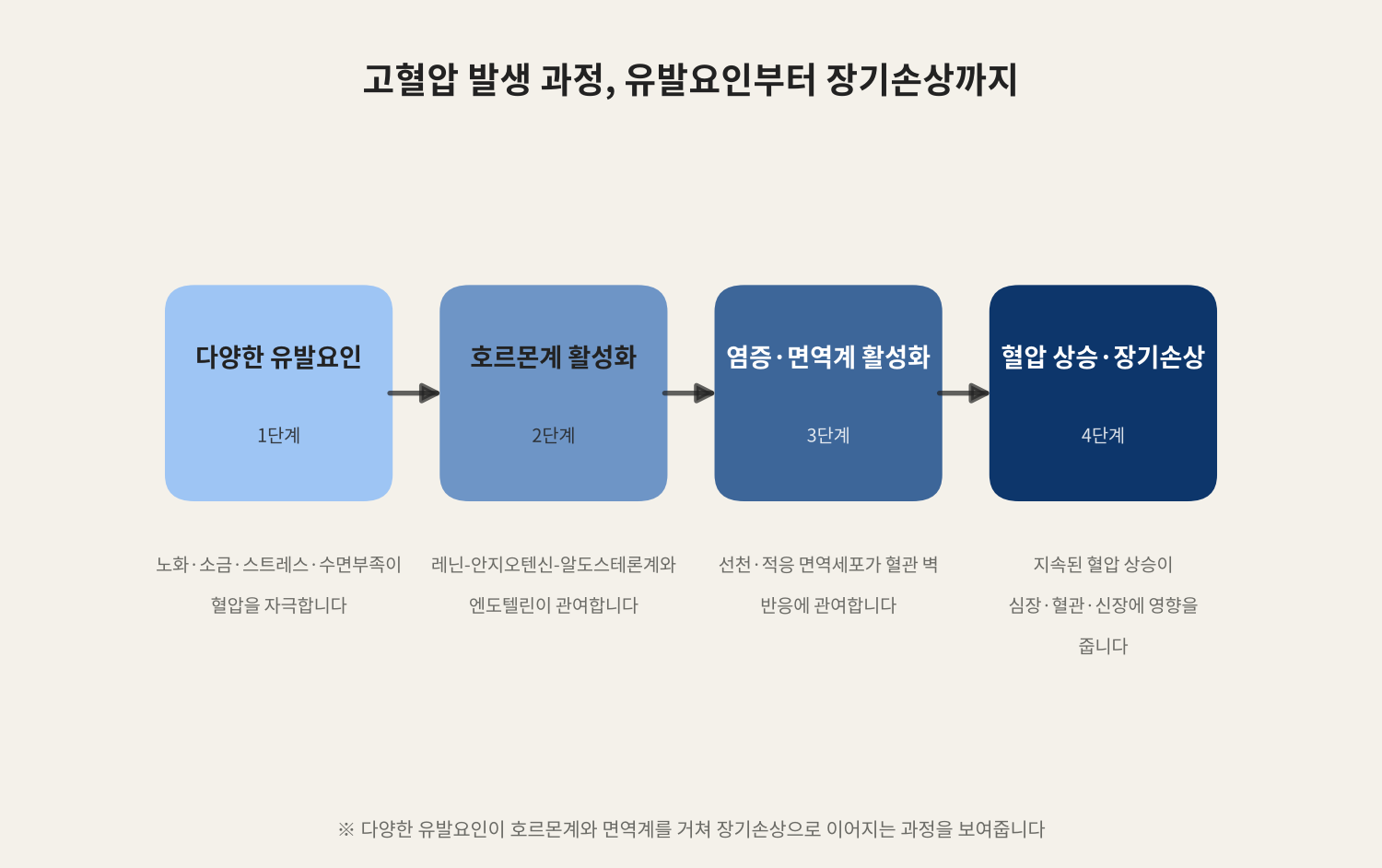 고혈압 발생 과정, 유발요인부터 장기손상까지
