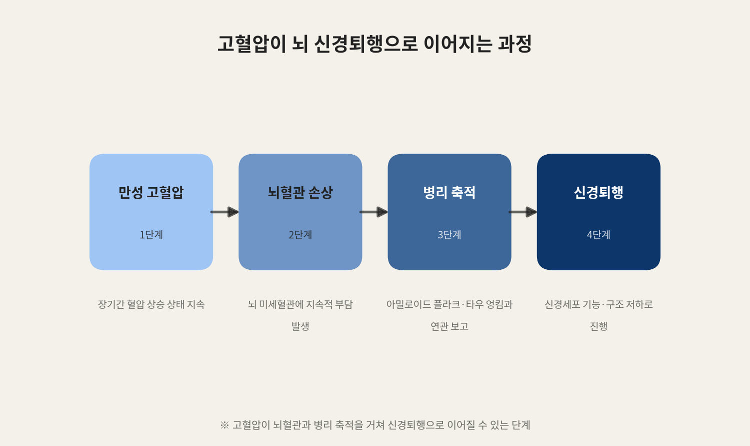 고혈압이 뇌 신경퇴행으로 이어지는 과정