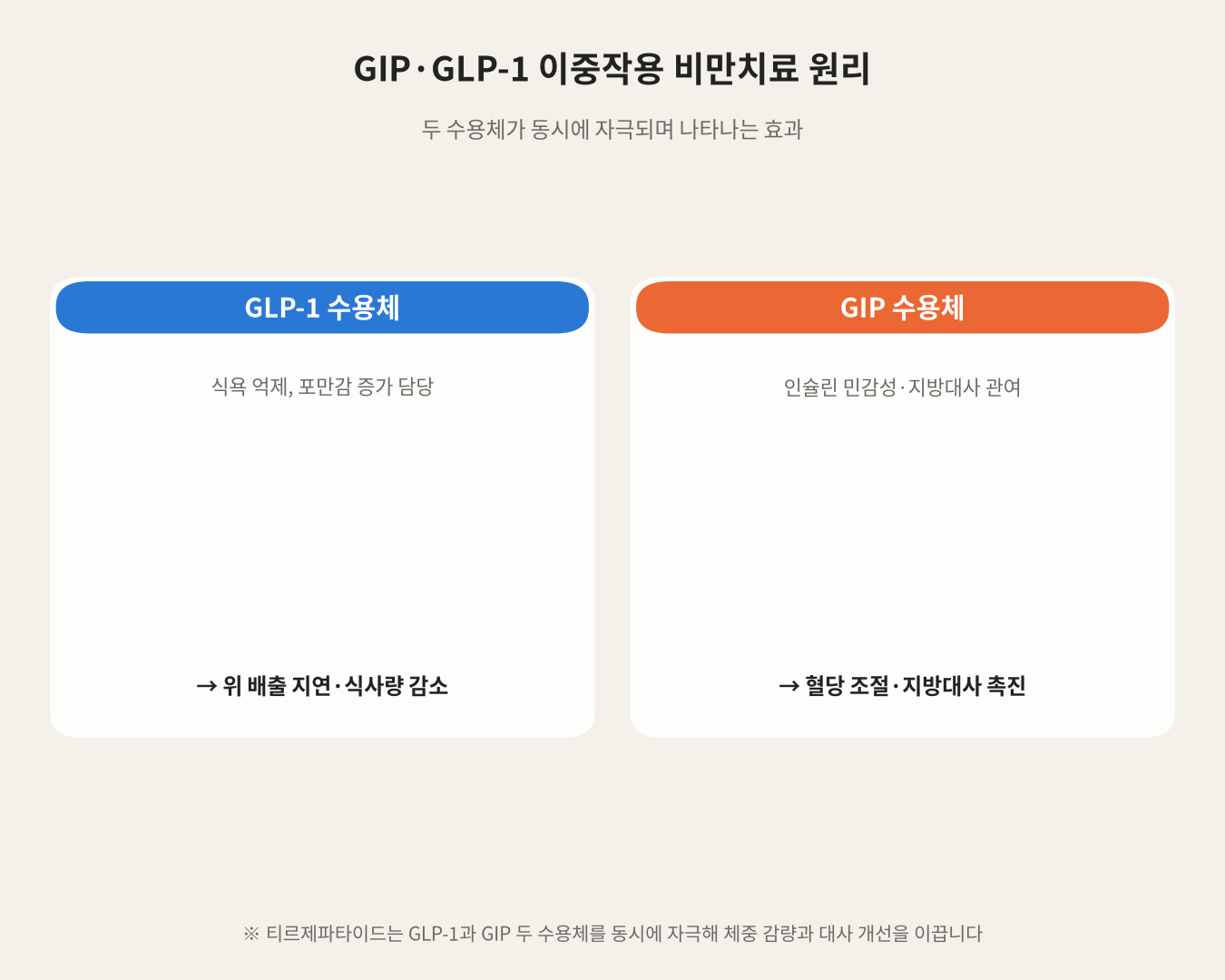GIP·GLP-1 이중작용 비만치료 원리