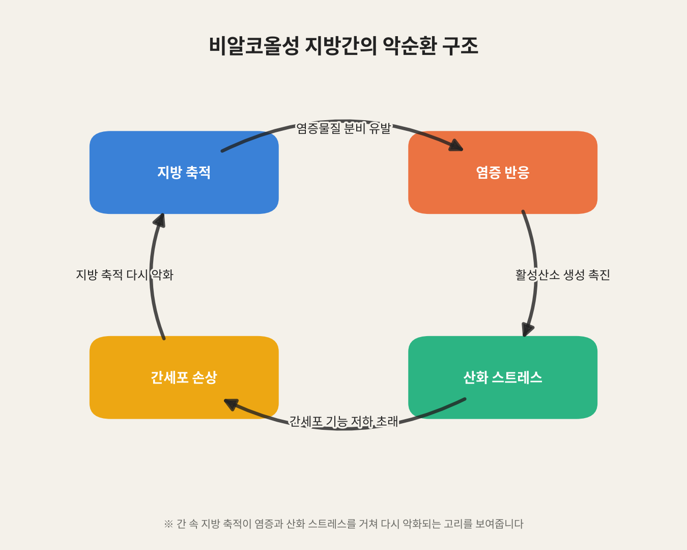 비알코올성 지방간의 악순환 구조