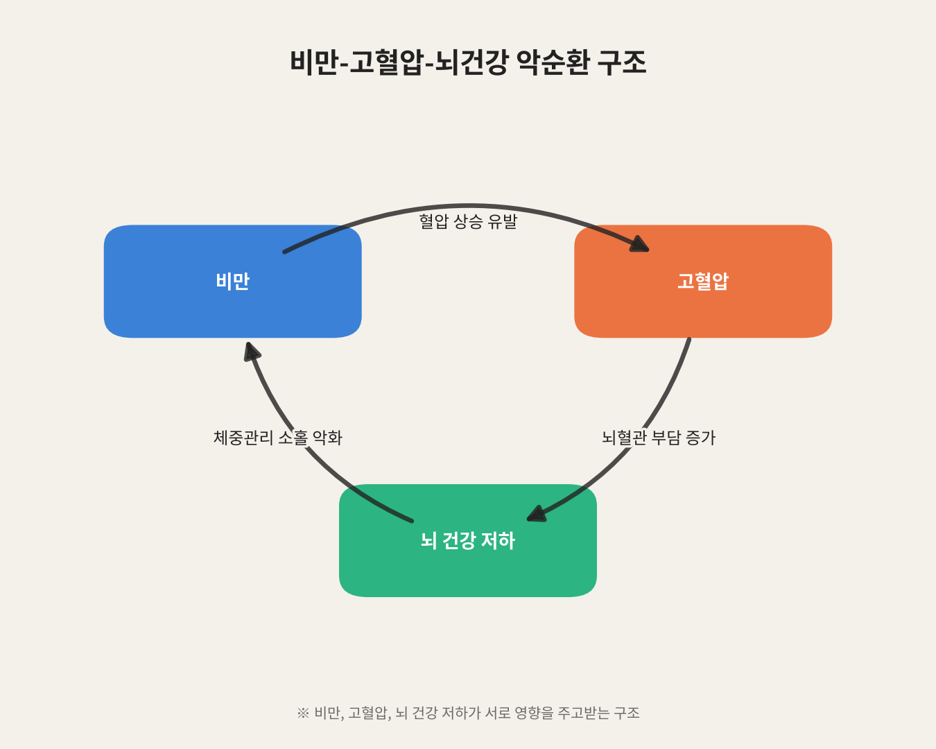 비만-고혈압-뇌건강 악순환 구조