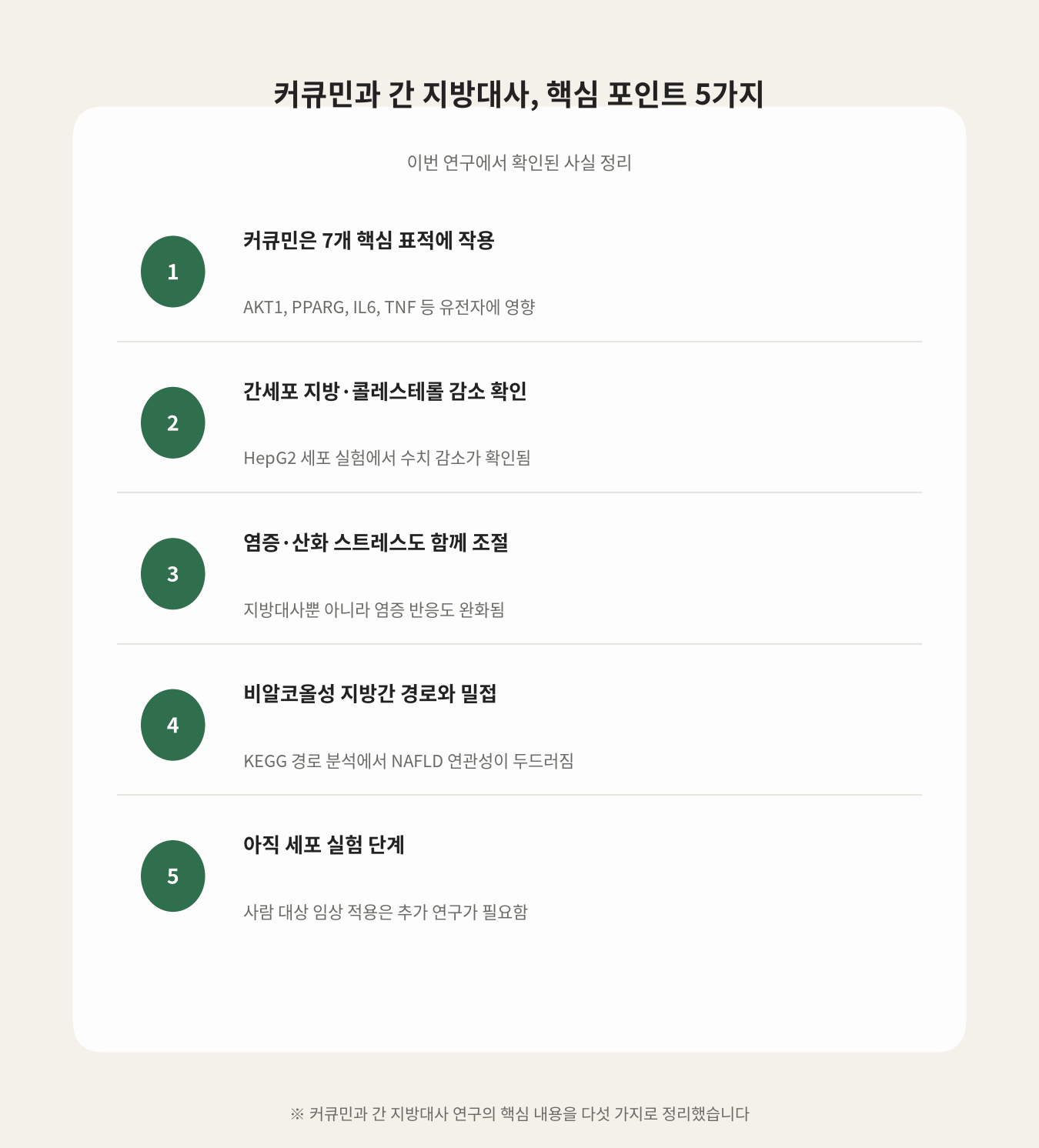 커큐민과 간 지방대사, 핵심 포인트 5가지