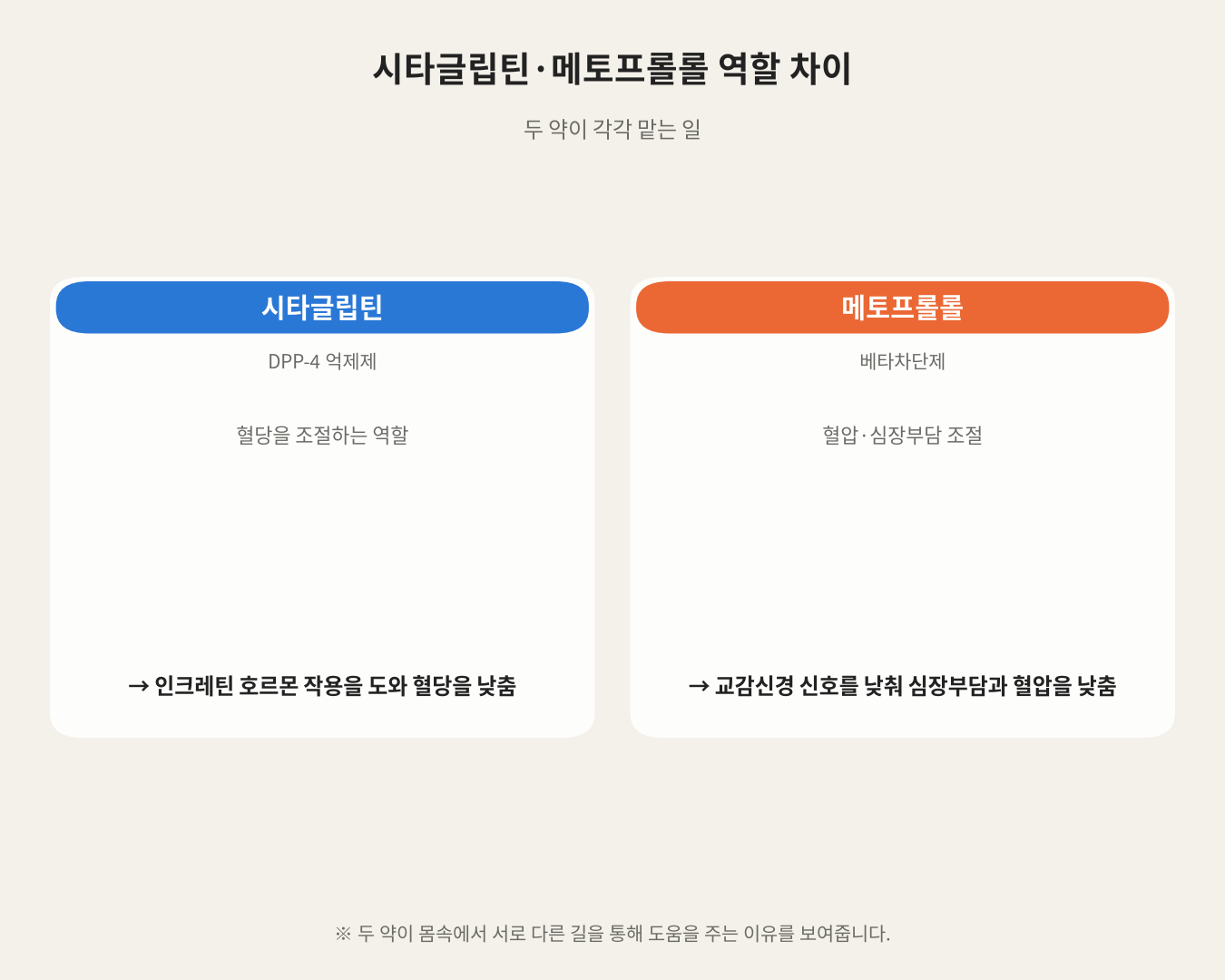 시타글립틴·메토프롤롤 역할 차이