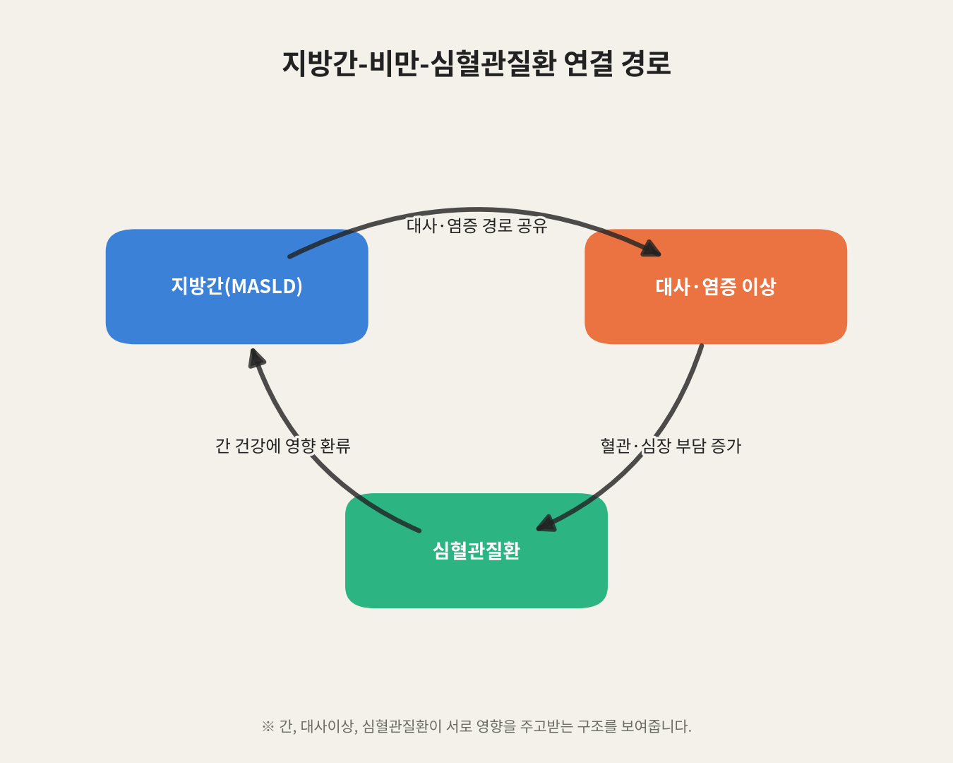 지방간-비만-심혈관질환 연결 경로