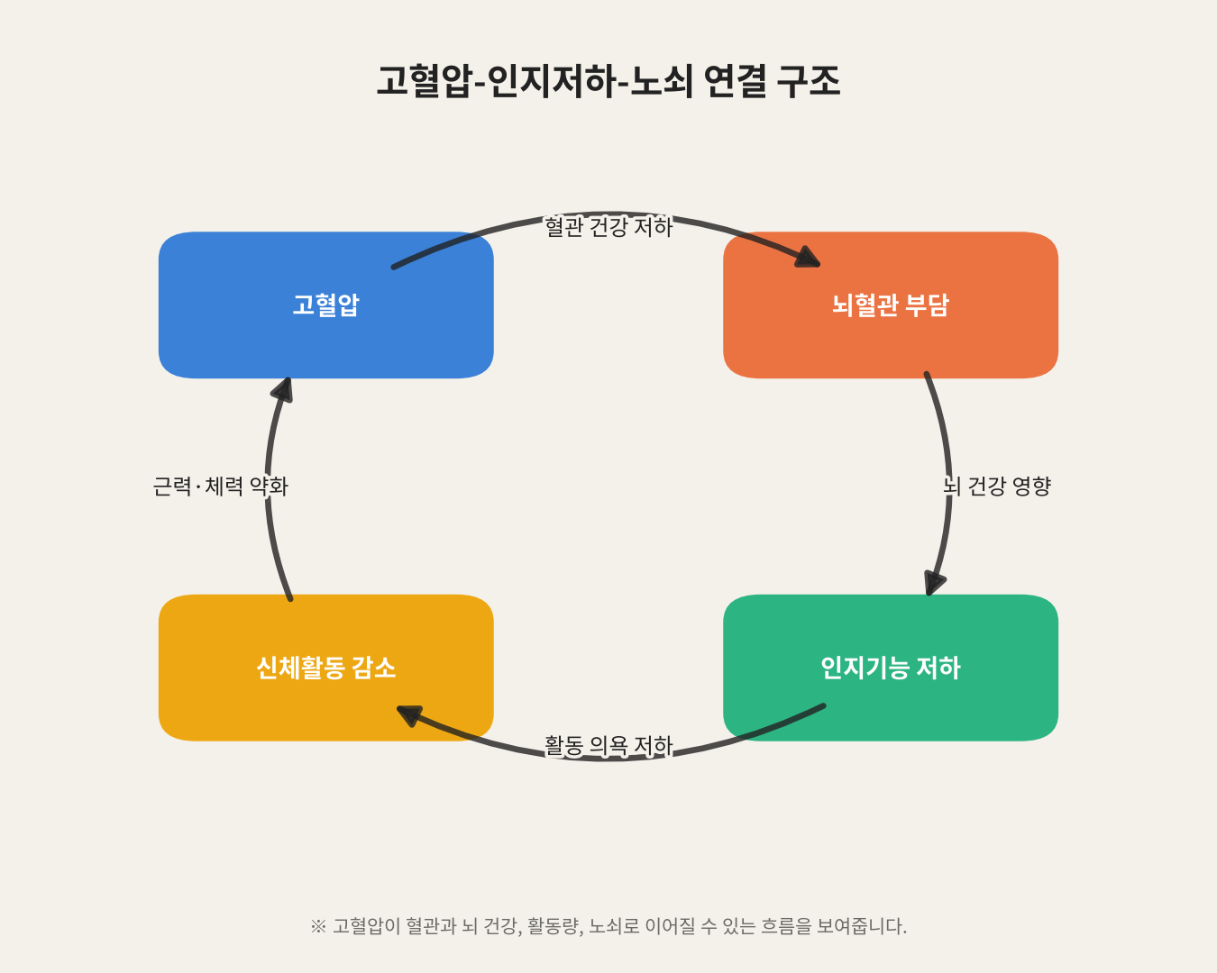 고혈압-인지저하-노쇠 연결 구조