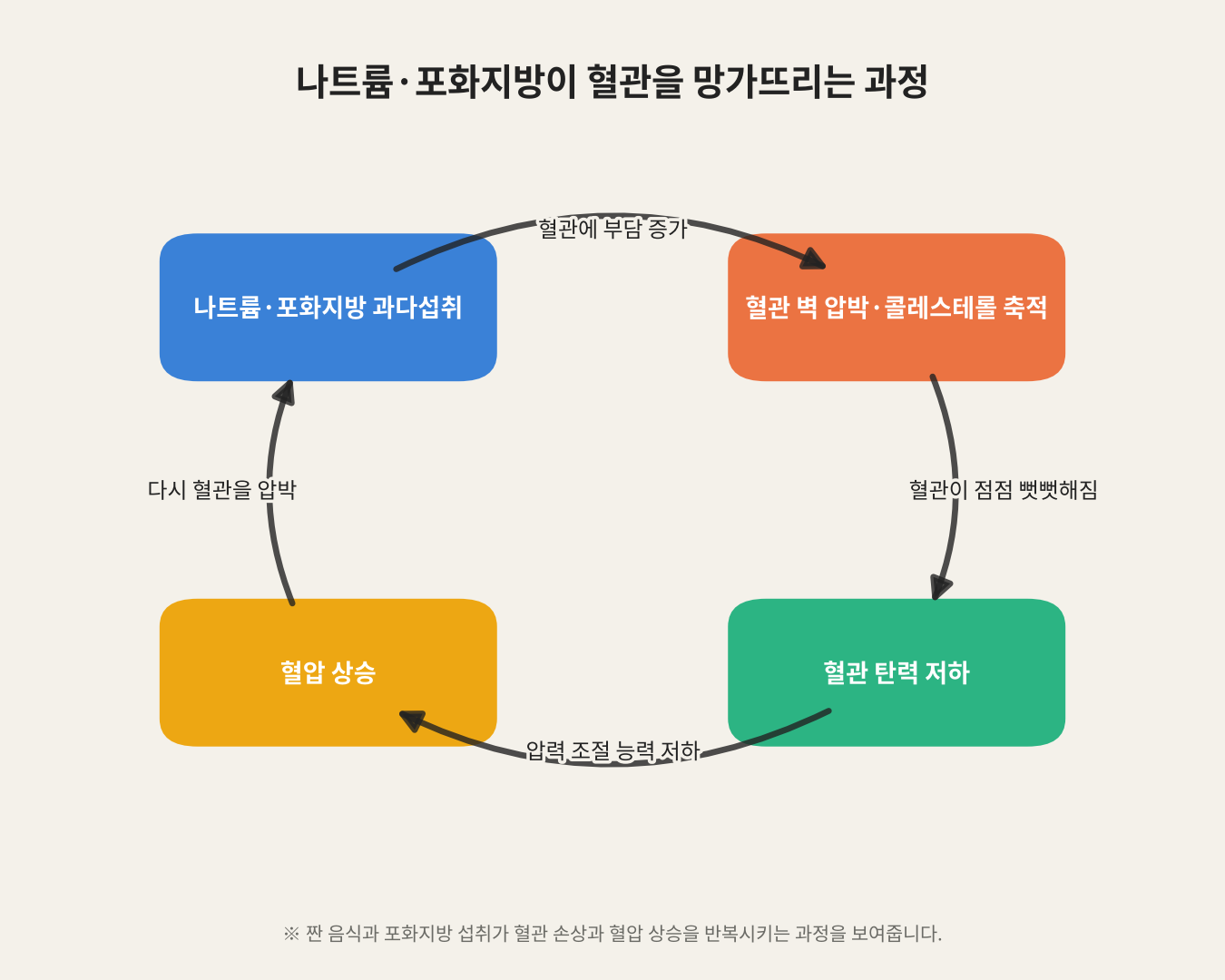나트륨·포화지방이 혈관을 망가뜨리는 과정