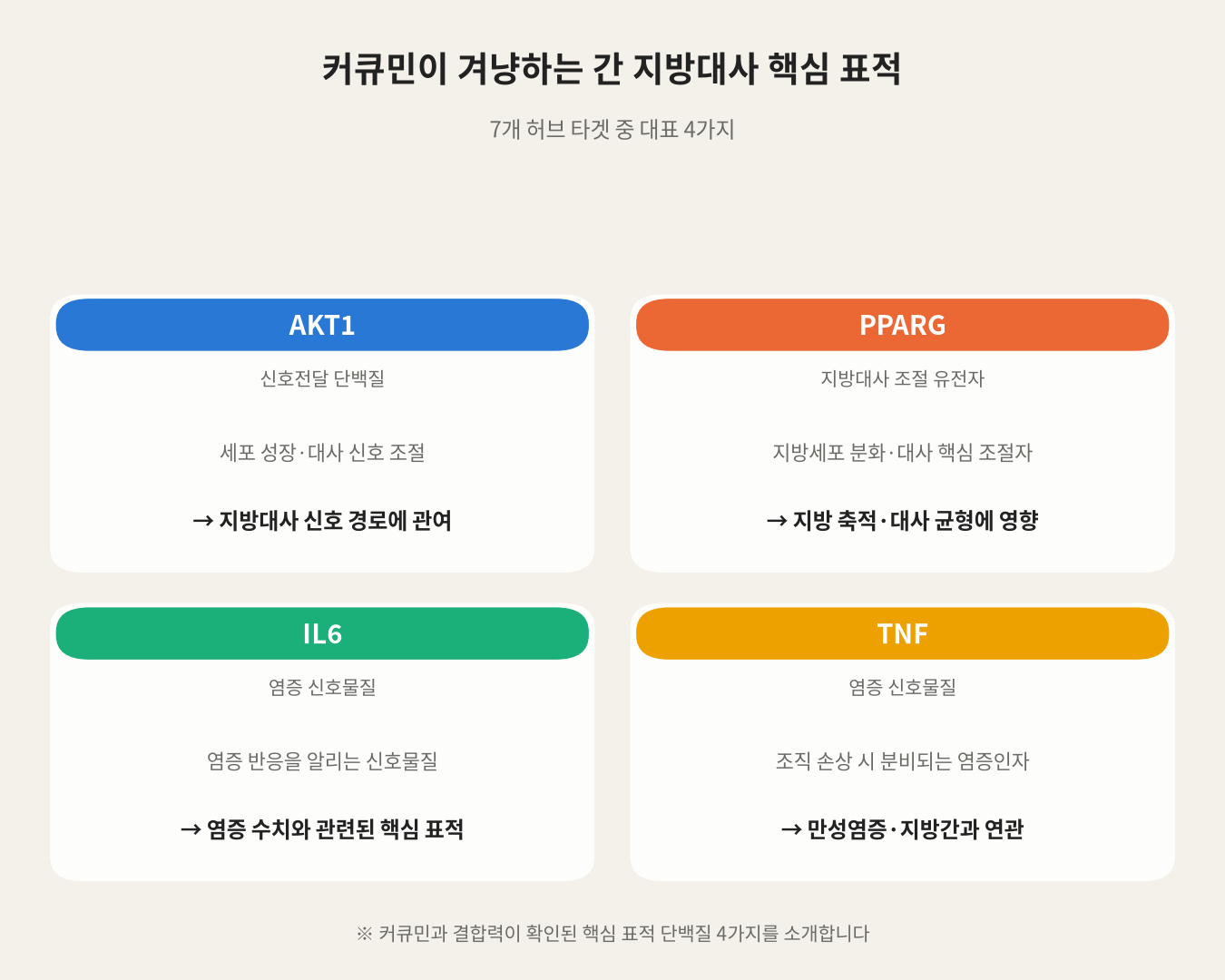 커큐민이 겨냥하는 간 지방대사 핵심 표적