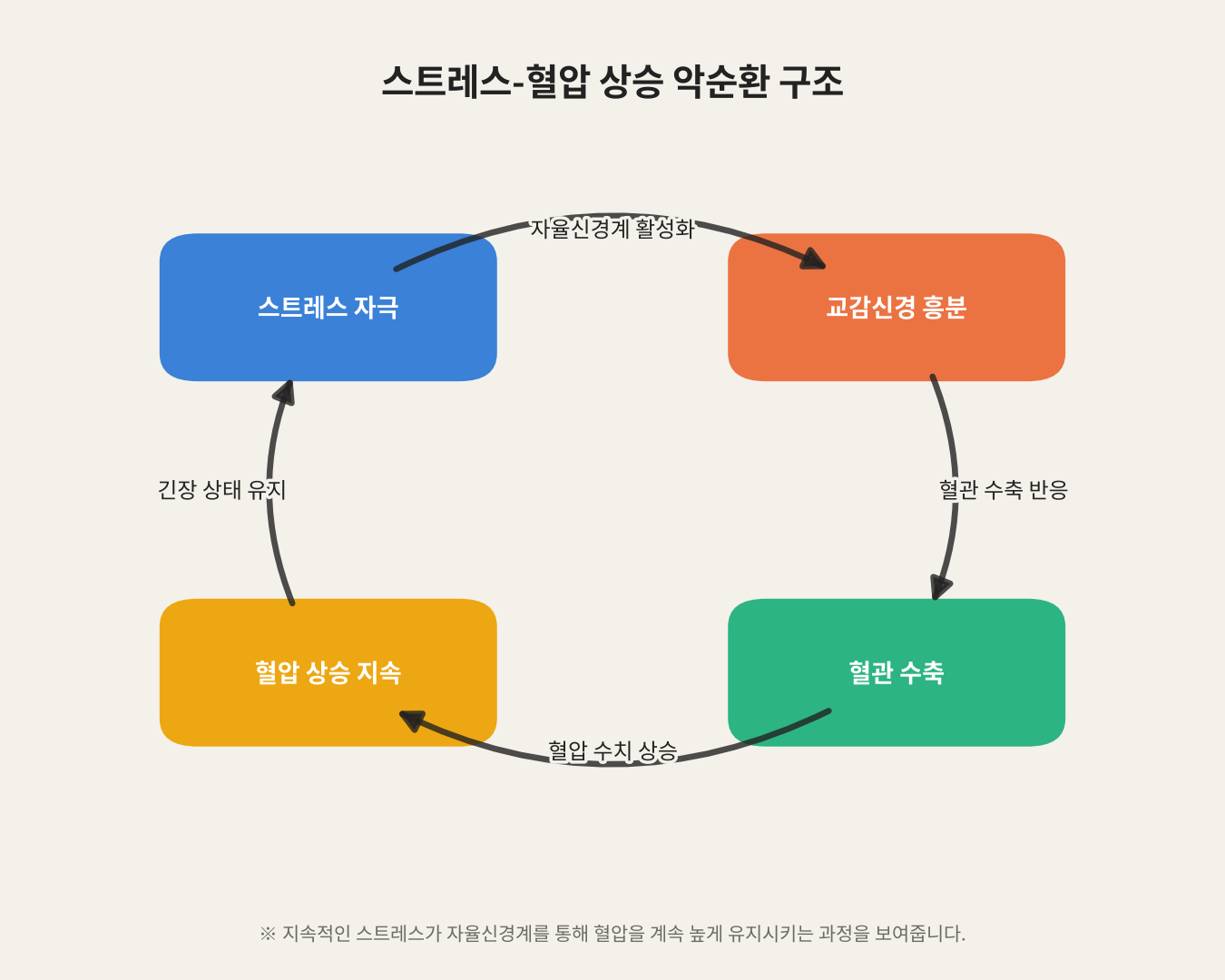 스트레스-혈압 상승 악순환 구조