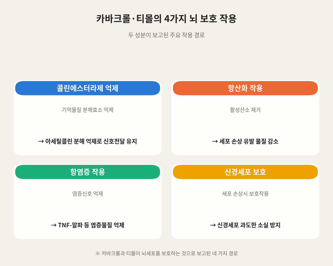 카바크롤·티몰의 4가지 뇌 보호 작용