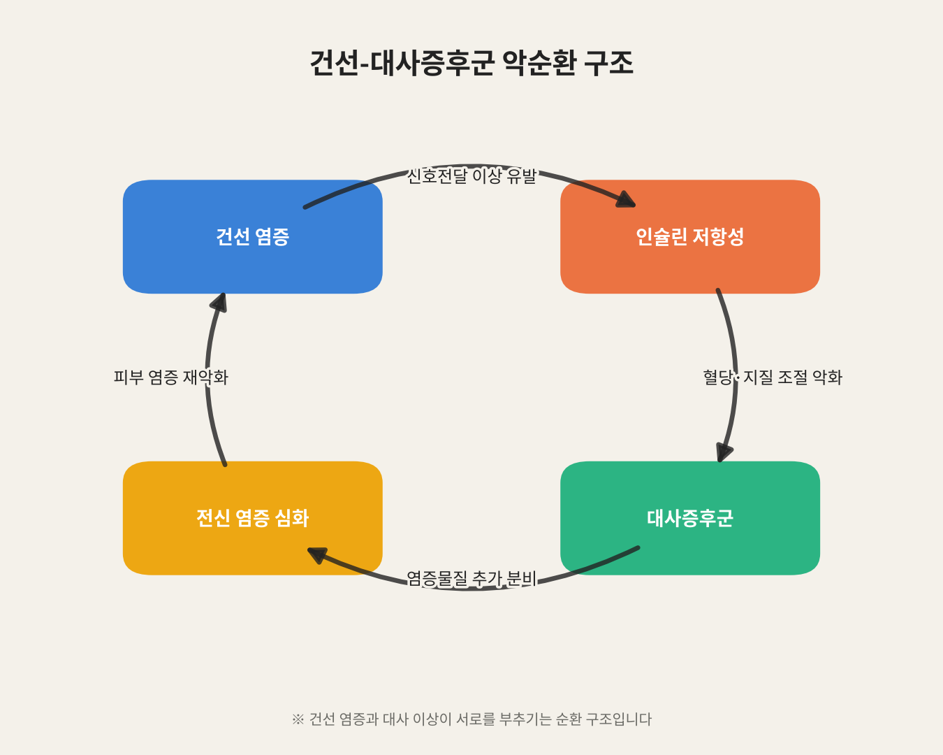 건선-대사증후군 악순환 구조