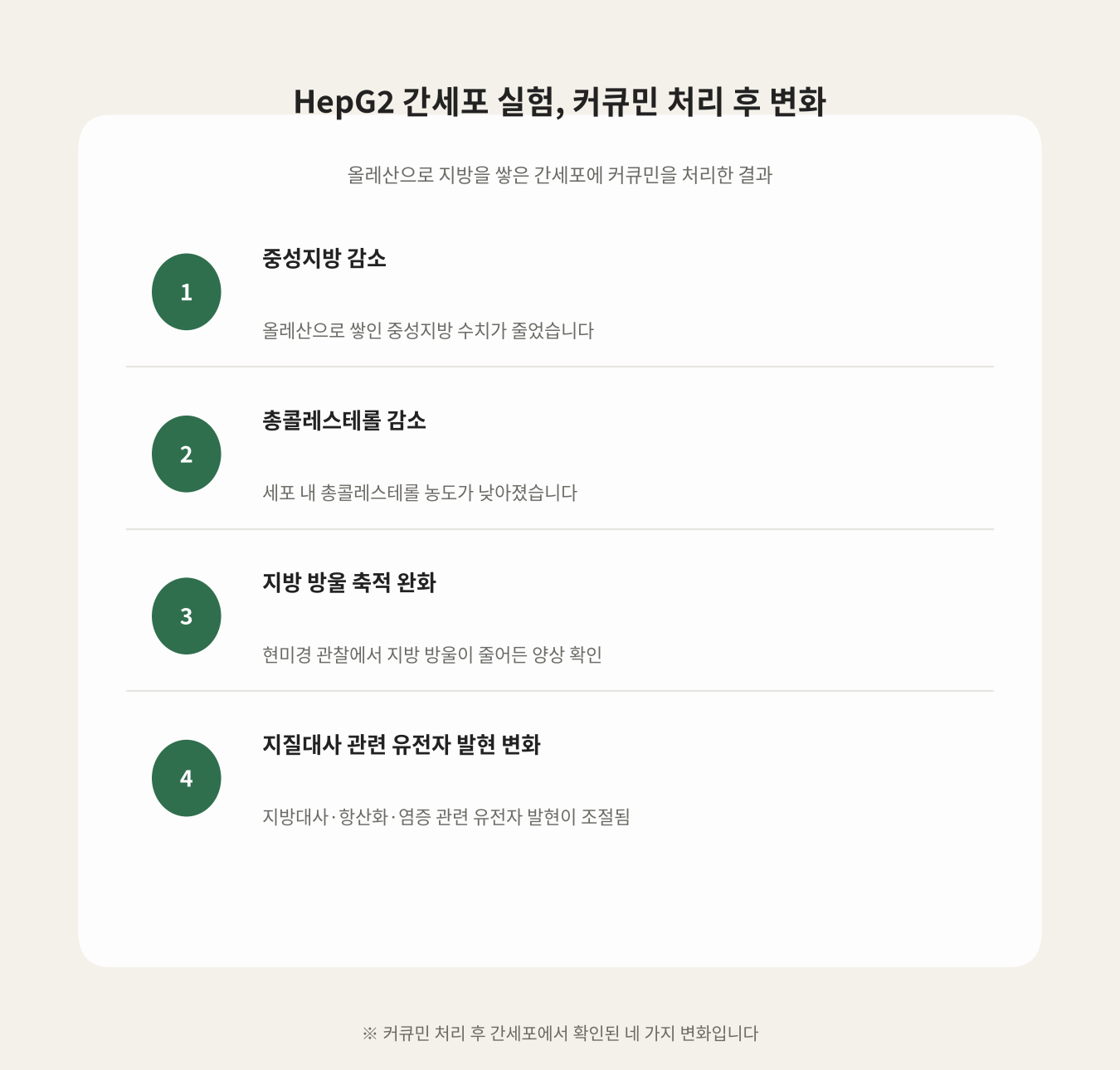 HepG2 간세포 실험, 커큐민 처리 후 변화